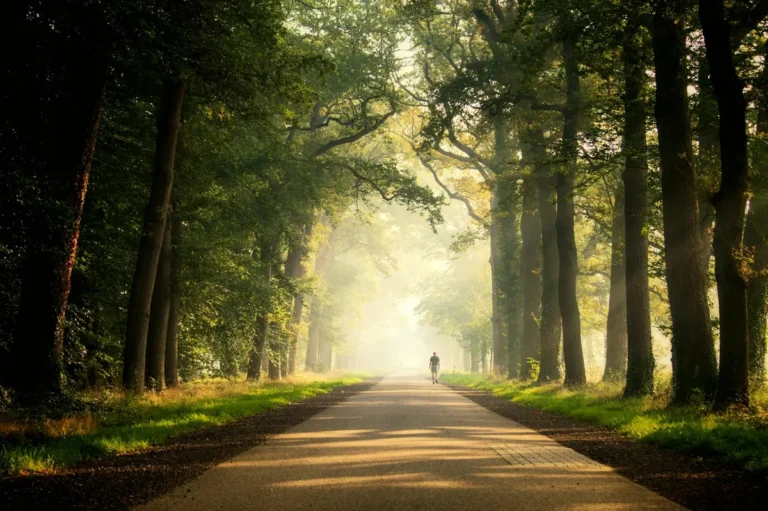 Living with Purpose: 10 Habits of People Who Walk Closely with God