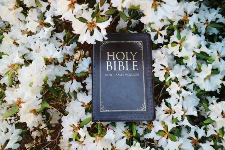 Bible Reading Plans for New Believers