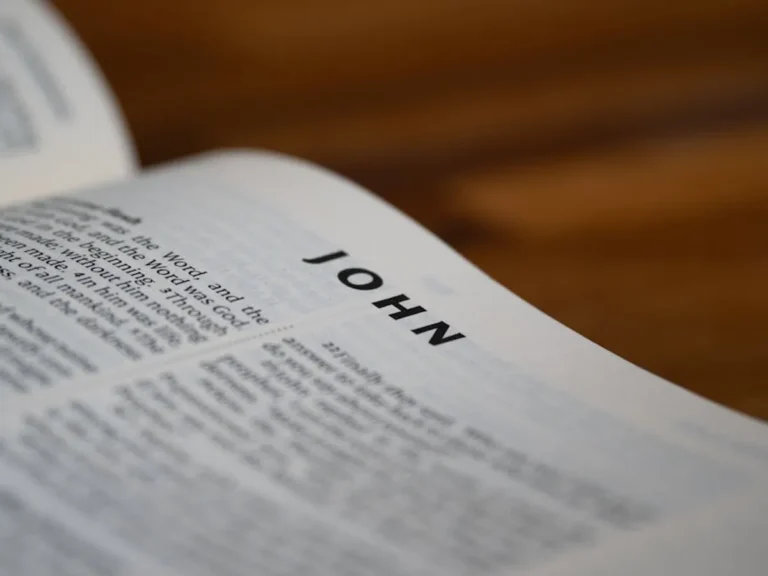 Daily Gospel Reflection Ideas for Busy Readers