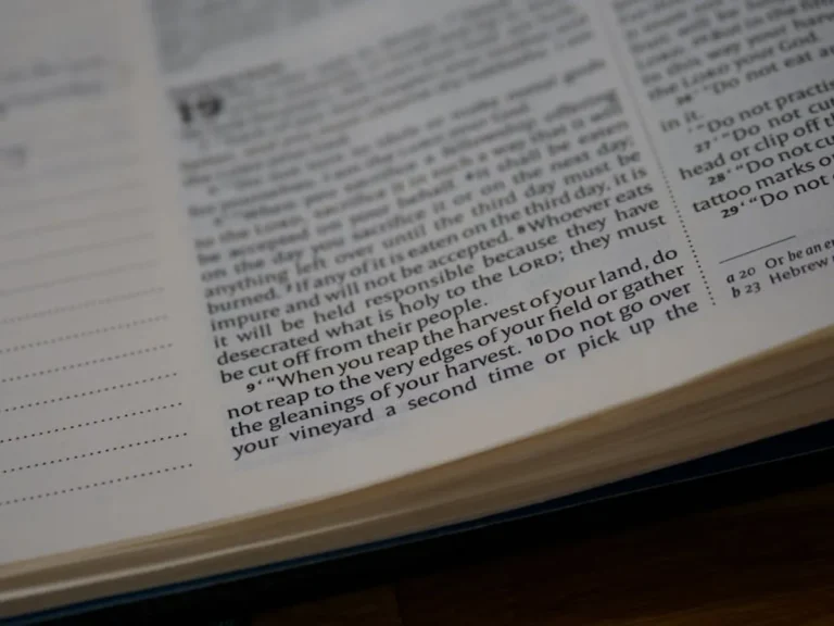 Scripture Memorization Questions and Reflections