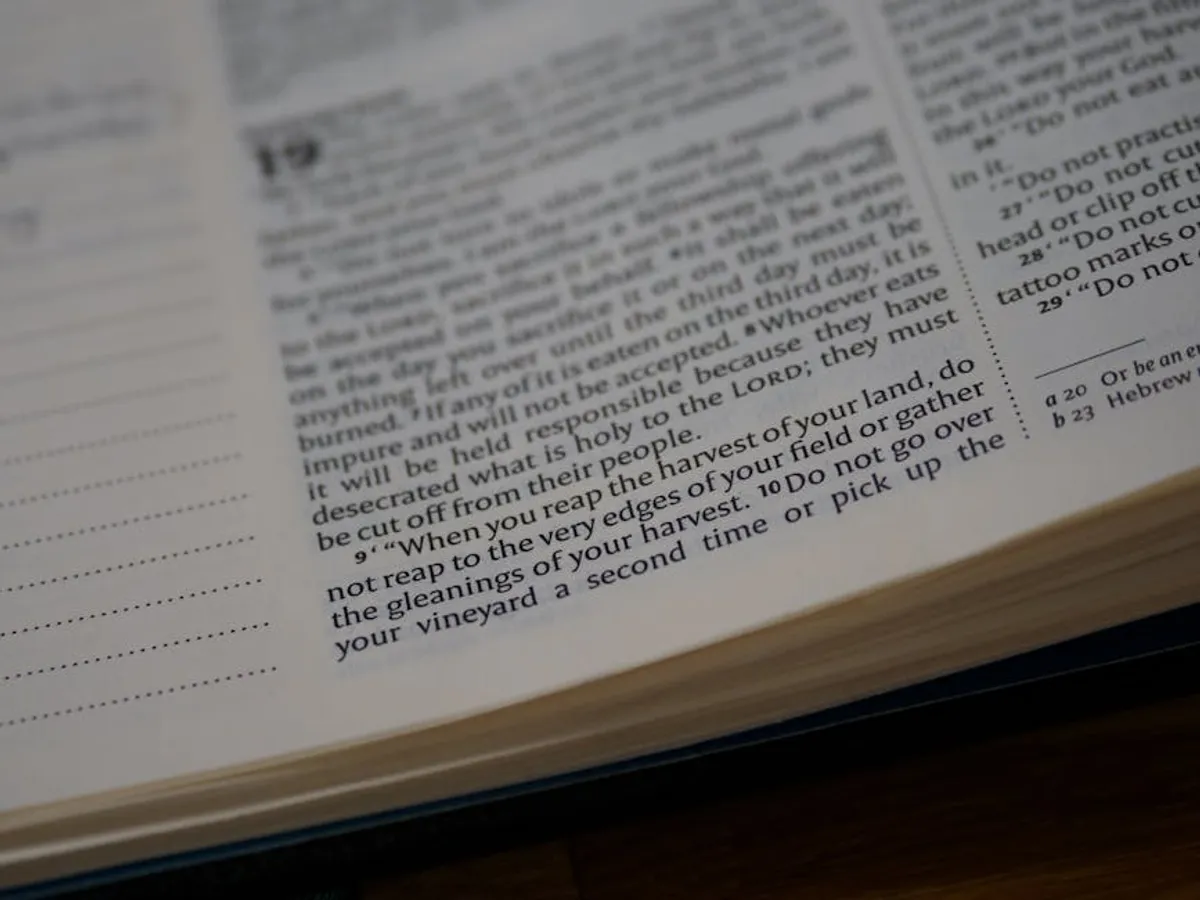 Scripture Memorization Questions and Reflections
