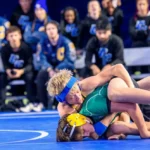 Wrestling Review: What It Is, Features, Safety, and Alternatives