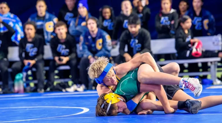 Wrestling Review: What It Is, Features, Safety, and Alternatives